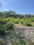 Eneo la 1 Eka kwa Uuzaji Bofa, Kilifi (Safu ya 3) - 2