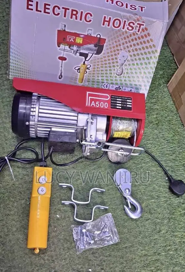 New Electric Hoist 500kg - 1
