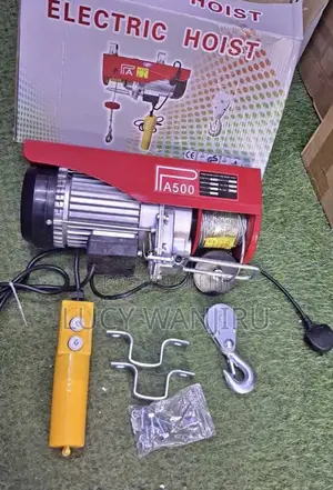 New Electric Hoist 500kg