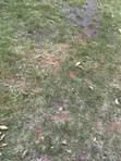 Eneo la Biashara kwa Uuzaji, Juja Road Pangani - 1