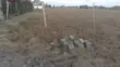 50x100 Plot for Sale in Joska - 2