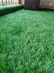 Artificial Grass Carpet 20mm - 2