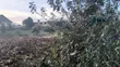 Prime 3/4 Acre Commercial Plot - Rironi Mau Summit Tarmac - 5