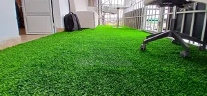 Artificial Grass Carpet for Reception Areas