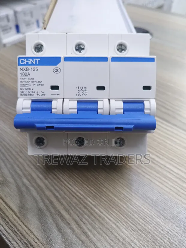Chint 100A Triple Pole Circuit Breaker - 1