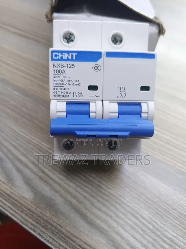 Chint 100A Double Pole Circuit Breaker - 1