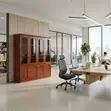 Executive Wooden Cabinet | Heavy Duty Storage - 5