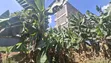 Kiwanja 50x100 cha Kuuzwa Lower Kabete Kamutiini - KSh 6M - 3