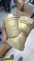 3-Inch (DN80) Forged Brass Y Strainer - 1