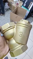 3-Inch (DN80) Forged Brass Y Strainer - 2