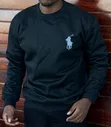 Polo Men's Quality Heavy Sweatshirt - 2