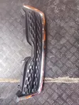 Subaru Forester XT Grille - 1