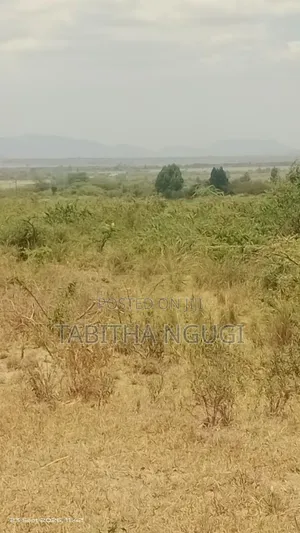 Eka 50 Barabara ya Mai Mahiu-Naivasha, Karibu na Longonot