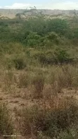 50 Acres Along Mai Mahiu-Naivasha Road, Near Longonot - 2