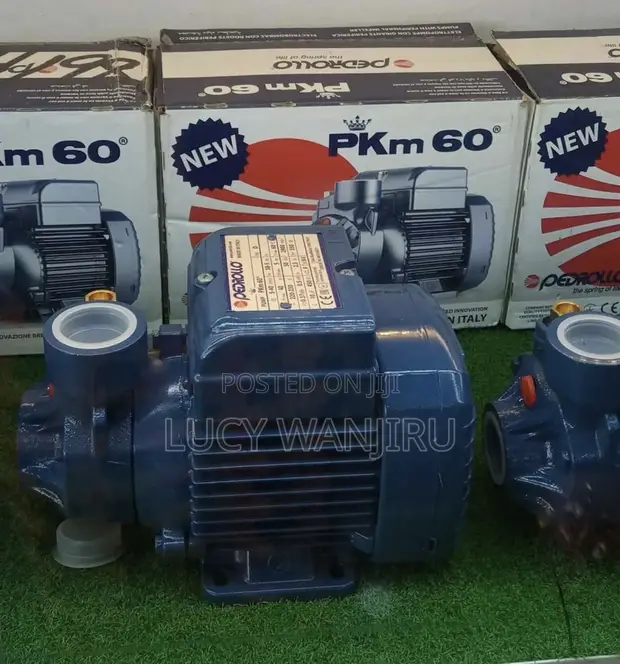 Original Pedrollo Water Pump 0.5HP - 1