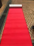 Walkway Carpet / Red Carpet Runner for Events & Entrances - 2