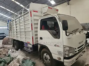 Isuzu NKR Box Truck 2011 for Sale