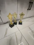 Brand New 26cm Gold Gypsum Trophy - 2
