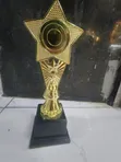 Brand New 26cm Gold Gypsum Trophy - 3