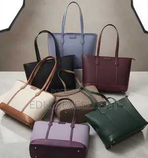 Latest Ladies Handbag - Brown