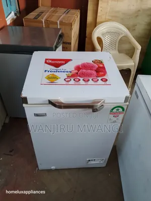 Ramtons Deep Freezer (Iliyo tumika)