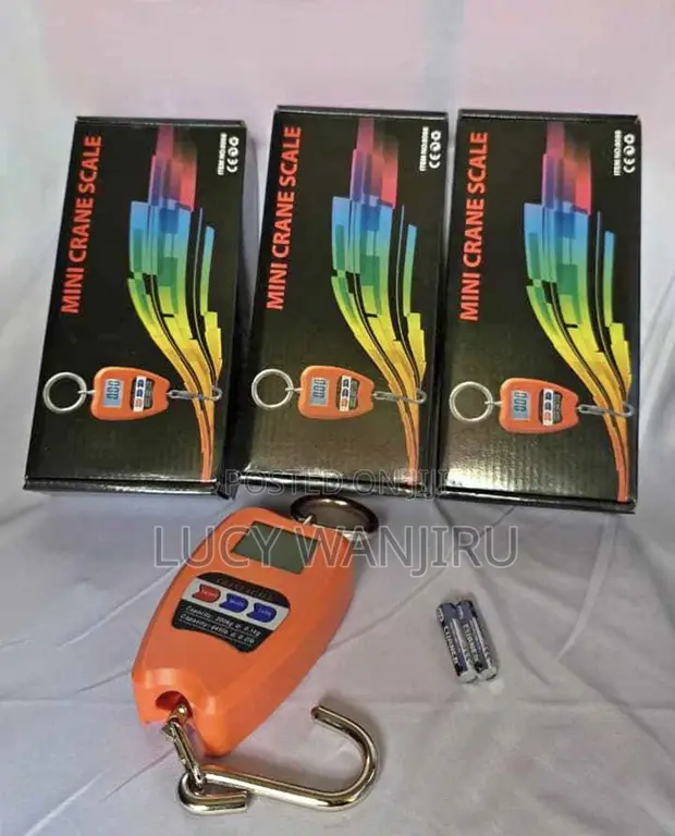 Crane Digital Weighing Scale 200 KGS - 1