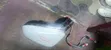 Lexus 2018 Sidemirrors with Indicator and Camera - 2