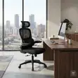Adjustable Fabricated Office Chair | Home Office Working Orthopedic - 5