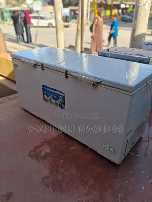 Premier Double Door Freezer (500L)