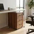 Mobile Office Drawer Cabinet - Kitengo cha Hifadhi Chini ya Dawati - 2