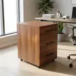 Mobile Office Drawer Cabinet - Kitengo cha Hifadhi Chini ya Dawati - 3