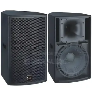 Thunder Sound TH110 Passive Speaker