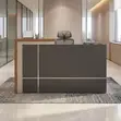 Executive Reception Desk - Kijivu - 4
