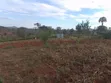 Eka 8 za Ardhi ya Kilimo Zinauzwa, Kagaari North - 2