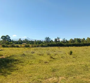Prime 1/4 Acre Plot for Sale in Nanyuki - KSh 4.5M
