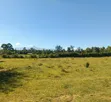 Prime 1/4 Acre Plot for Sale in Nanyuki - KSh 4.5M - 1