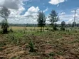 Prime 1/4 Acre Plot for Sale in Nanyuki - KSh 4.5M - 2