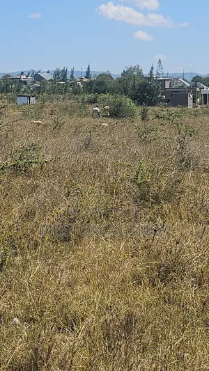 Kitalu cha 50x100 Bei Nafuu Malaa - Mauzo ya Haraka