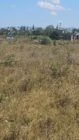 Kitalu cha 50x100 Bei Nafuu Malaa - Mauzo ya Haraka - 1