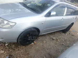 Toyota Corolla Fielder 2005 Nyeupe
