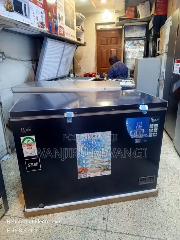 Roch 300L Deep Freezer - Brand New - 1