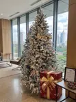 Pre-Lit Flocked Christmas Tree - 7ft & 8ft - 1