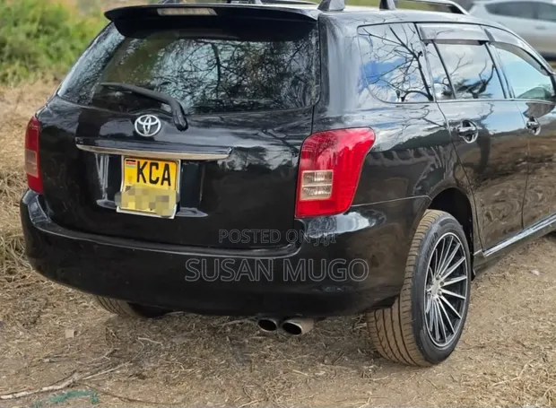Toyota Corolla Fielder 2008 - 1