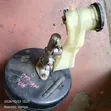 Brake Booster ya Honda Stream (Iliyo tumika, Ex-Japan) - 2
