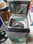 Syinix 11kg Top Load Fully Automatic Washing Machine (P10WTT) - 2