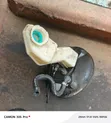 Brake Booster ya Nissan X-Trail NT32 - 1