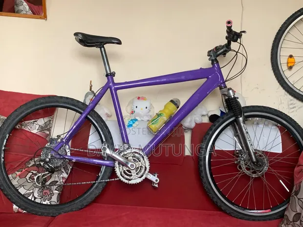 Cloud Burglar Mountain Bike - Size 26 - 1