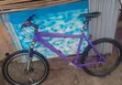 Cloud Burglar Mountain Bike - Size 26 - 4