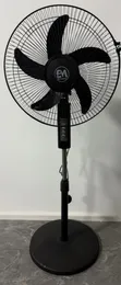 Em Black 18-inch Standing Fan - 1