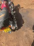 Bajaj Boxer 100 2024 Nyekundu - 1